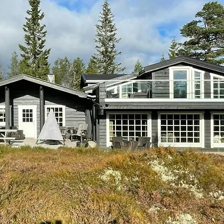 Large Familycabin In Fagerasen *