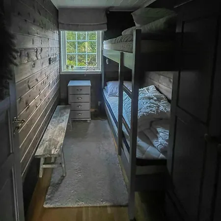 Large Familycabin In Fagerasen