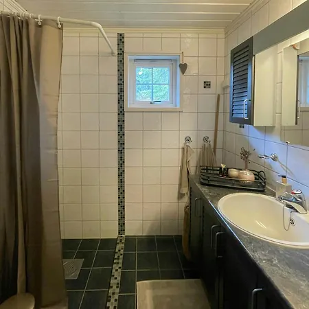 Large Familycabin In Fagerasen