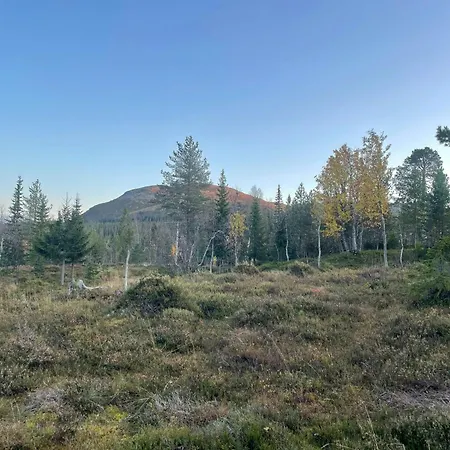 펜션 Large Familycabin In Fagerasen 트리실