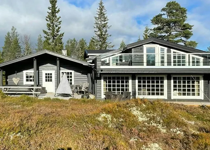 Large Familycabin In Fagerasen *